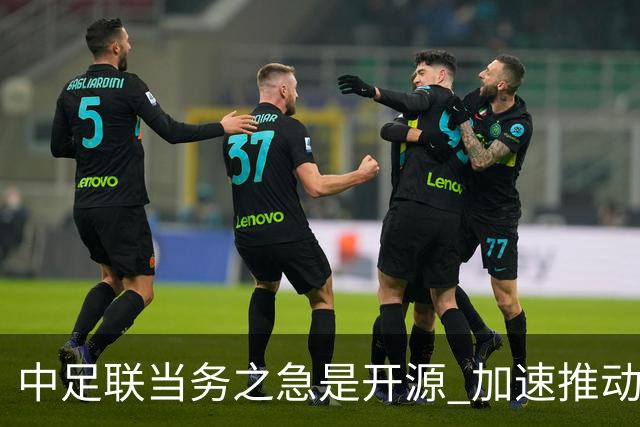 中足联当务之急是开源 加速推动中国足球职业化